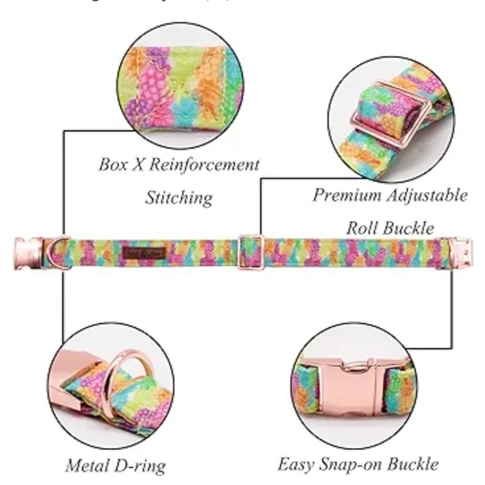 Lionet Paws Colorful Pineapple Dog Collar with Bowtie Size M